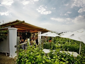 BRAMON WINE ESTATE